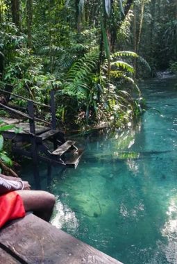 Jangan Coba-Coba! Pemerintah Siap Tindak Perusak Ekosistem Raja Ampat